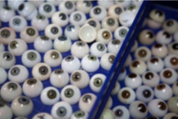 A tray of artificial eye and cosmetic shell samples